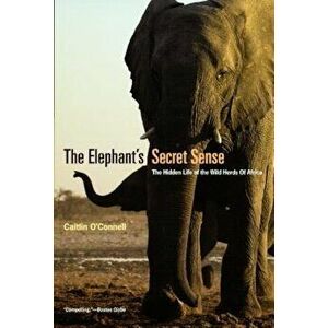 The Elephant's Secret Sense: The Hidden Life of the Wild Herds of Africa, Paperback - Caitlin O'Connell imagine