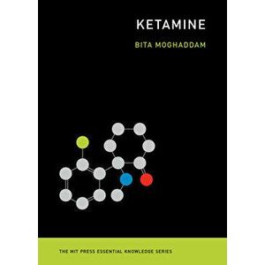 Ketamine, Paperback - Bita Moghaddam imagine