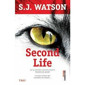 Second Life - S.J. Watson imagine