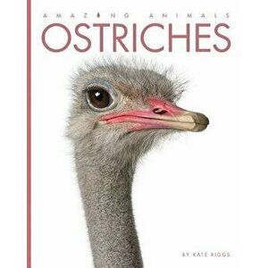 Ostriches, Hardcover - Kate Riggs imagine