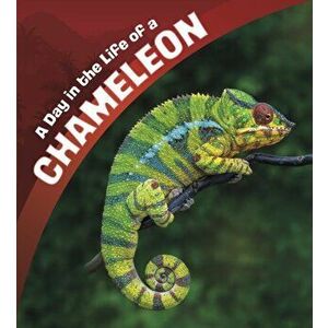 Day in the Life of a Chameleon, Hardback - Lisa J. Amstutz imagine