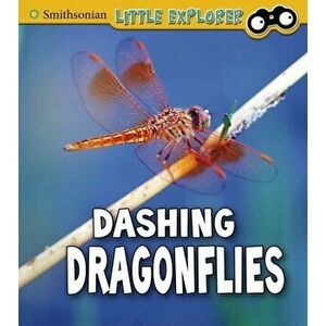Dashing Dragonflies, Paperback - Megan Cooley Peterson imagine