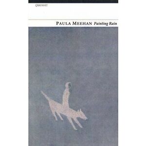 Painting Rain, Paperback - Paula Meehan imagine