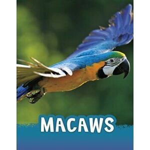 Macaws, Hardback - Jaclyn Jaycox imagine