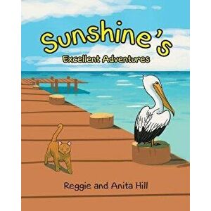 Sunshine's Excellent Adventures, Paperback - Reggie and Anita Hill imagine