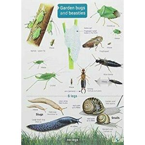 Garden Bugs and Beasties - Rebecca Farley-Brown imagine