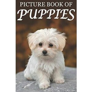 Picture Book of Puppies: Picture Book of Puppies: For Seniors with Dementia [Cute Picture Books], Paperback - Mighty Oak Books imagine
