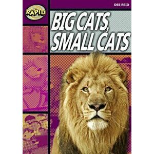 Rapid Stage 1 Set A: Big Cats Small Cats (Series 1), Paperback - Dee Reid imagine