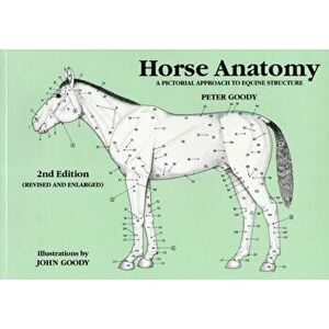 Horse Anatomy 2e, Paperback - Peter C. Goody imagine