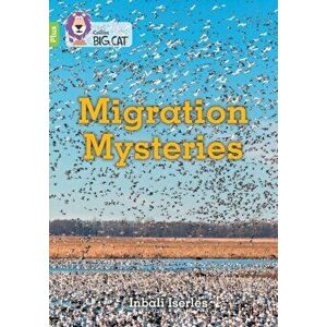 Migration Mysteries. Band 11+/Lime Plus, Paperback - Inbali Iserles imagine