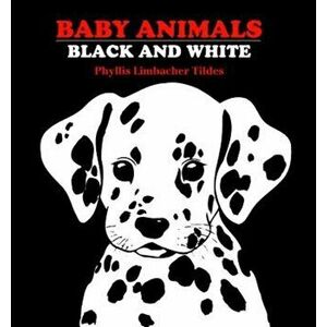 Baby Animals: Black and White, Hardcover - Phyllis Limbacher Tildes imagine