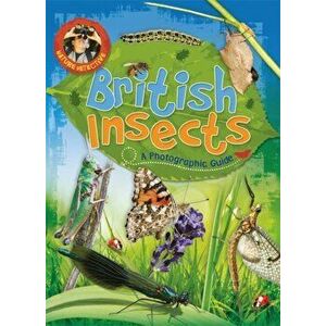 British Insects imagine