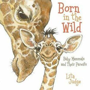 Born in the Wild: Baby Animals and Their Parents - Lita Judge imagine