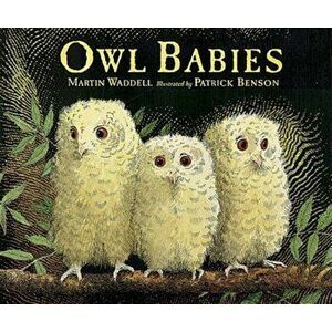 Owl Babies, Paperback - Martin Waddell imagine
