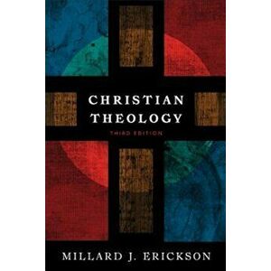 Christian Theology, Hardcover imagine