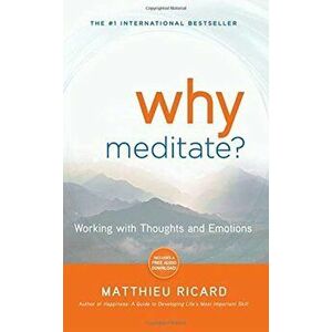 Why Meditate', Paperback imagine