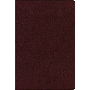 NIV, Thinline Reference Bible, Bonded Leather, Burgundy, Red Letter Edition, Indexed, Comfort Print, Hardcover - Zondervan imagine