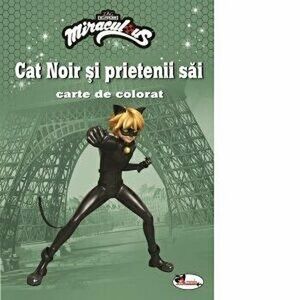 Cat Noir si prietenii sai/Miraculous imagine