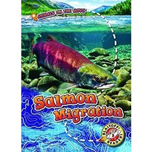 Salmon Migration, Hardback - Kari Schuetz imagine