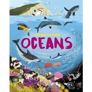 Big Picture: Oceans, Hardback - Jon Richards imagine