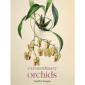 Extraordinary Orchids, Hardback - Sandra Knapp imagine