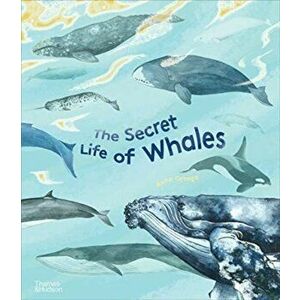 Secret Life of Whales, Hardback - Rena Ortega imagine