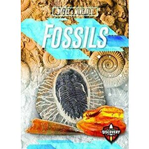 Fossils, Hardback - Patrick Perish imagine