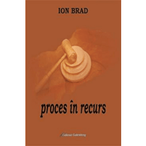 Proces in recurs - Ion Brad imagine