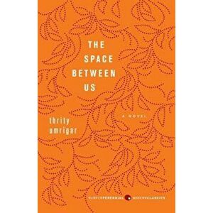The Space Between Us, Paperback - Thrity Umrigar imagine