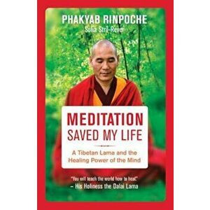Meditation Saved My Life: A Tibetan Lama and the Healing Power of the Mind, Paperback - Bstan-Dzin-Rgya imagine