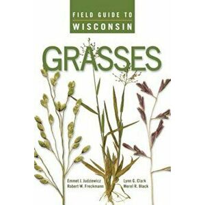 Field Guide to Wisconsin Grasses, Paperback - Emmet J. Judziewicz imagine