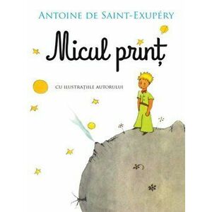 Micul print - Antoine De Saint Exupery imagine
