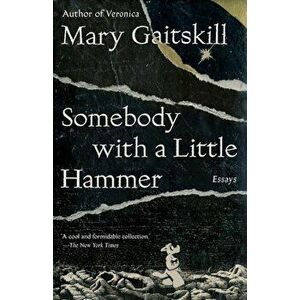 Somebody with a Little Hammer: Essays, Paperback - Mary Gaitskill imagine