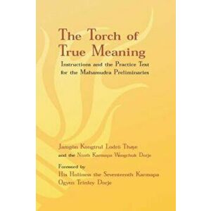 Torch of True Meaning: Instructions and the Practice for the Mahamudra Preliminaries, Paperback - Jamgon Kongtrul Lodro Thaye imagine