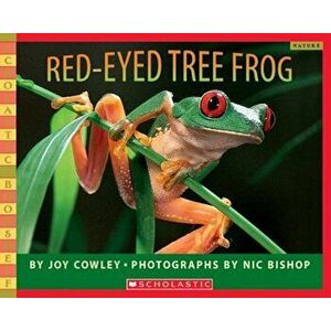 Red-Eyed Tree Frog, Paperback - Joy Cowley imagine