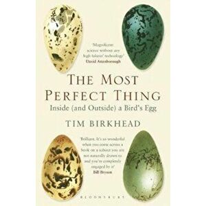 Most Perfect Thing, Paperback - Tim Birkhead imagine