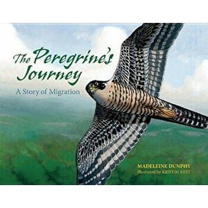 The Peregrine's Journey: A Story of Migration, Paperback - Madeleine Dunphy imagine