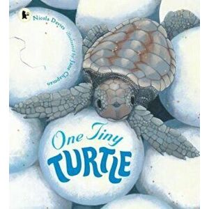 One Tiny Turtle, Paperback - Nicola Davies imagine