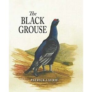 Black Grouse - Patrick Laurie imagine