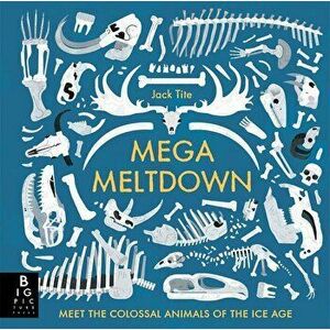 Mega Meltdown, Hardcover - Jack Tite imagine
