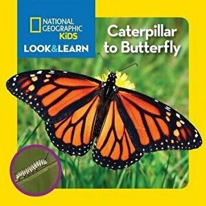 National Geographic Kids Look and Learn: Caterpillar to Butterfly, Hardcover - NationalGeographic Kids imagine