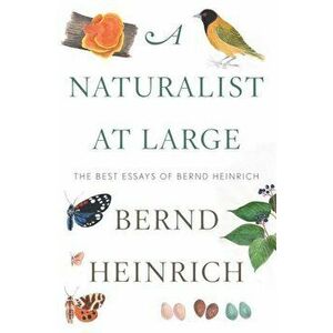 A Naturalist at Large: The Best Essays of Bernd Heinrich, Hardcover - Bernd Heinrich imagine