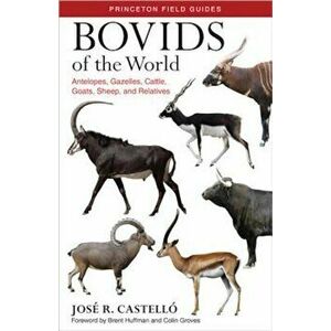 Bovids of the World: Antelopes, Gazelles, Cattle, Goats, Sheep, and Relatives, Paperback - Jose R. Castello imagine