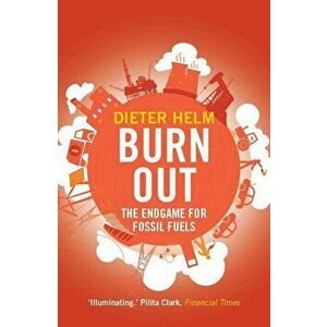Burn Out, Paperback - Dieter Helm imagine