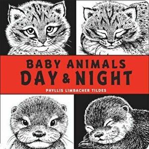 Baby Animals Day & Night, Hardcover - Phyllis Limbacher Tildes imagine