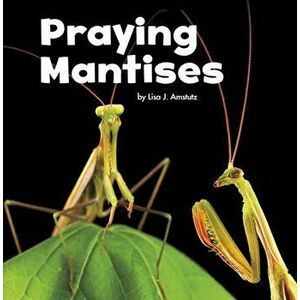 Praying Mantises, Paperback - Lisa J. Amstutz imagine