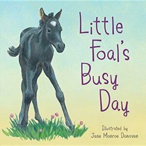 Little Foal's Busy Day - Sleeping Bear Press imagine
