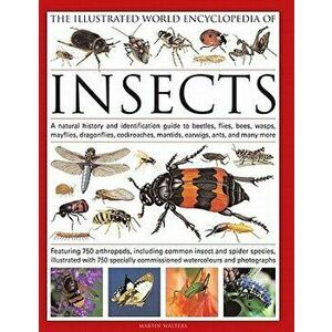 The Illustrated World Encyclopedia of Insects: A Natural History and Identification Guide to Beetles, Flies, Bees, Wasps, Springtails, Mayflies, Stone imagine