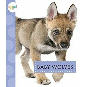Baby Wolves, Paperback - K. C. Kelley imagine