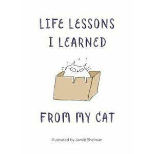 Life Lessons I Learned from my Cat - *** imagine